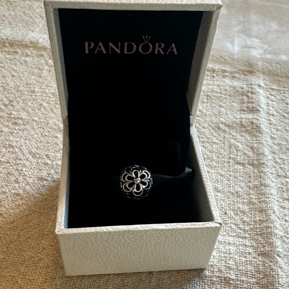 Pandora Jewelry - Pandora Silver and Black Elegant charm